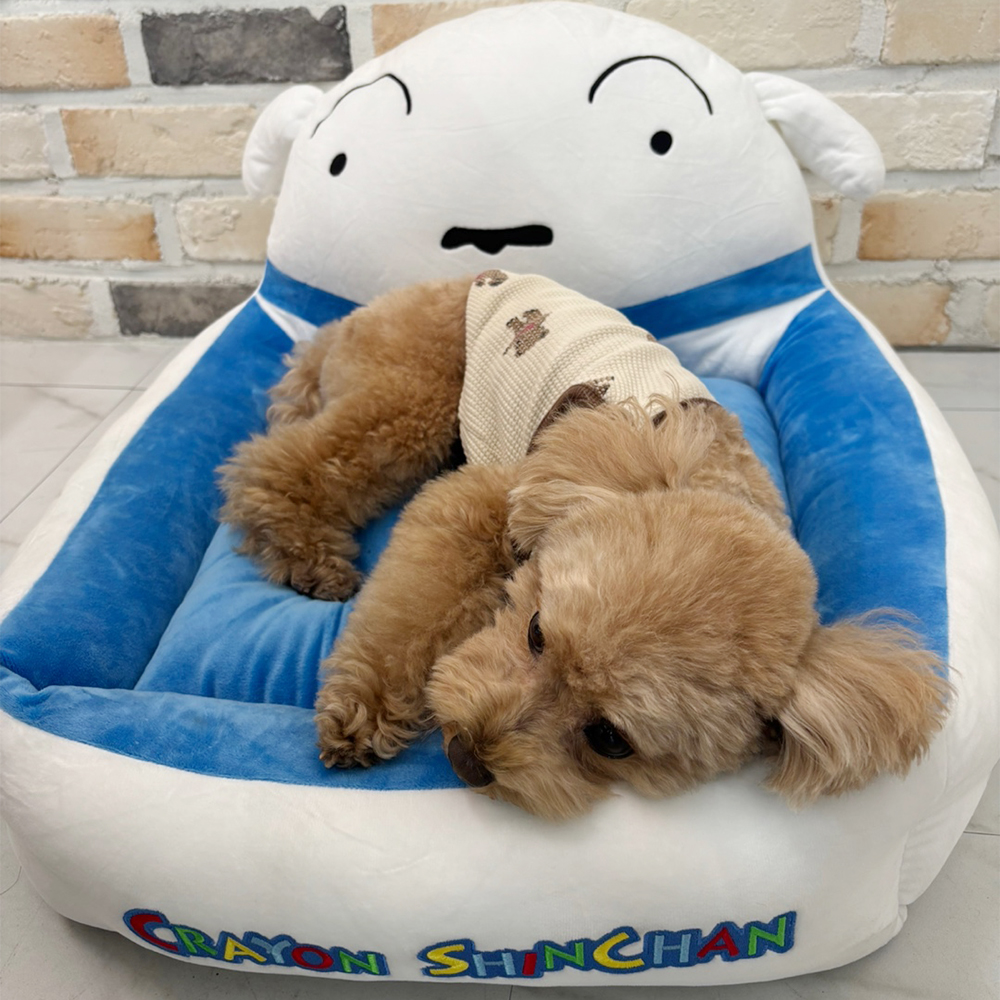짱구는못말려 흰둥이 강아지 방석 침대 쿠션 - 상세 이미지 2