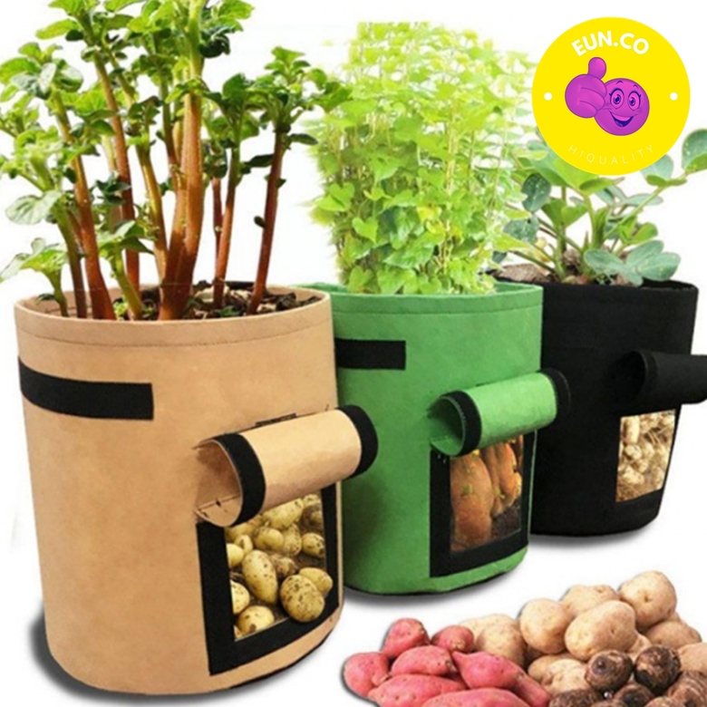 대형 부직포 화분 방부목 화분가리개 빈티지 묘목포트 뿌리식물 구황작물 키우기 홈가드닝