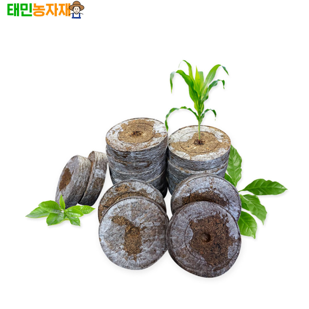 jiffy 지피펠렛 33mm 100개 씨앗파종 발아 육묘 친환경 압축상토 실사용 후기 | 효과 있을까? - 대표 이미지