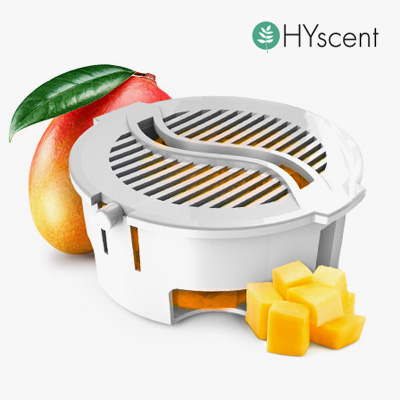 하이센트 방향제 리필 카트리지 화장실 천연 병원 차량 에센셜오일 디퓨저 스위트 망고, 35g, 1개 - 상품 이미지