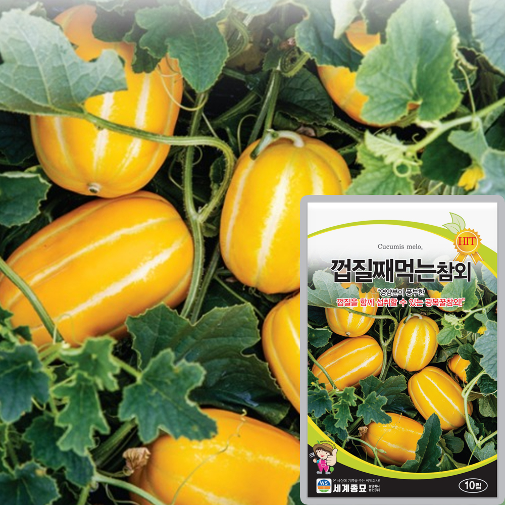 껍질째먹는 참외씨앗 10립 광복꿀 참외씨 종자 세계종묘 : 씨앗농장몰