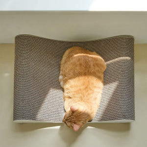 펫톤 빅사이즈 소파 스크래쳐 크림 솔직 후기 | 실제 사용자 리뷰 총정리 - 상품 이미지 3