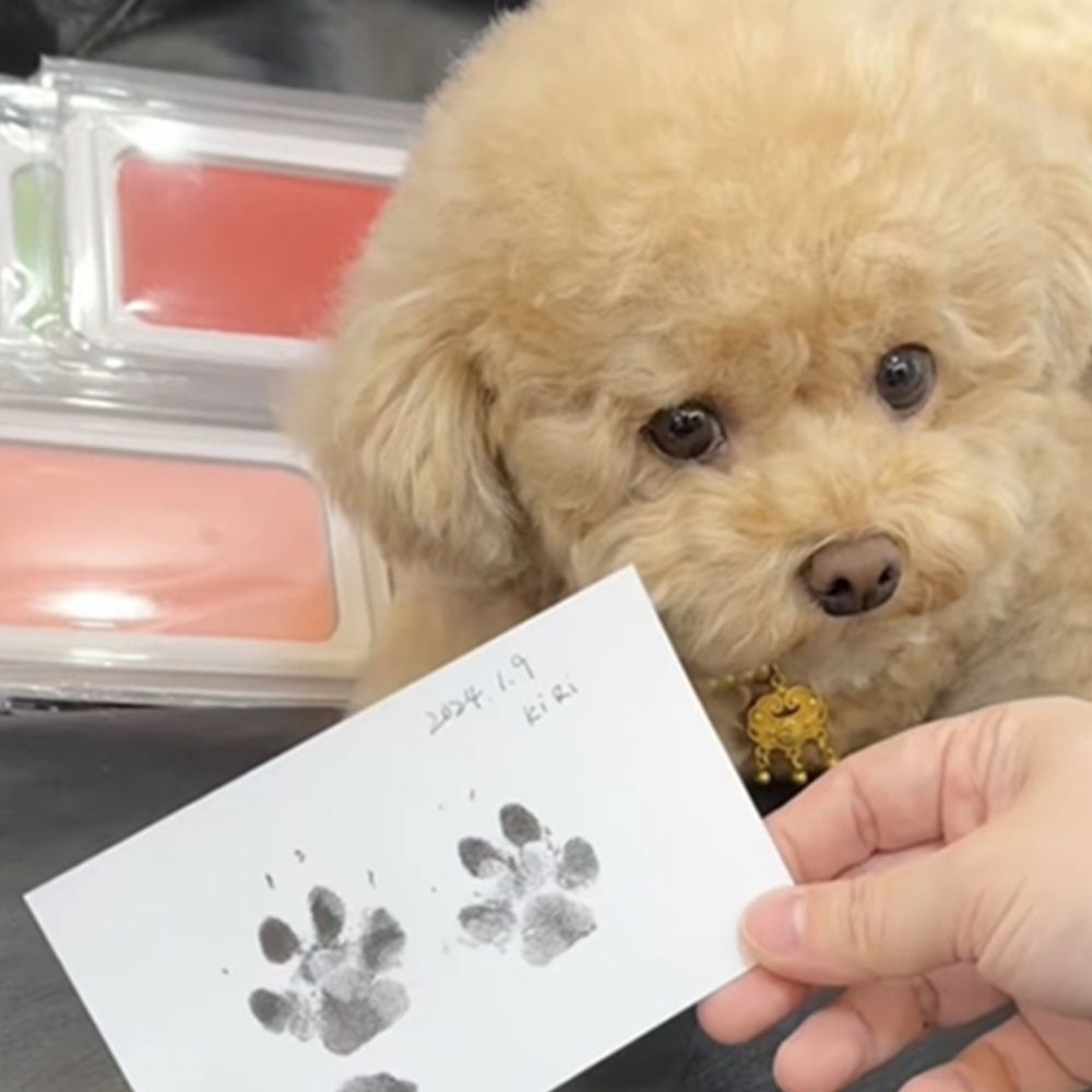 강아지발도장 고양이 반려동물 DIY핸드프린팅 액자세트 반려견 애견 기념일추억키트 생일선물 - 상세 이미지 4