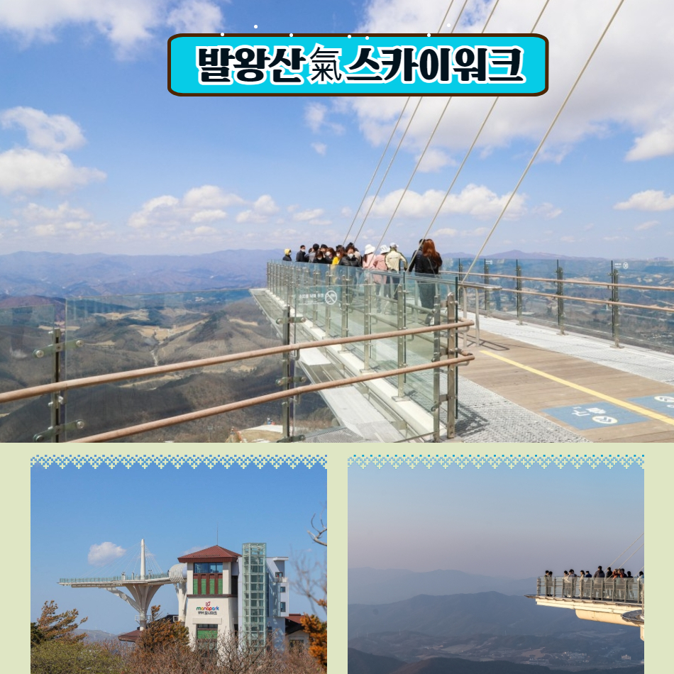 [신록의 계절 당일기차] 발왕산 케이블카 & 천년주목나무 숲길&동해 도째비골 스카이위크 - 상세 이미지 3
