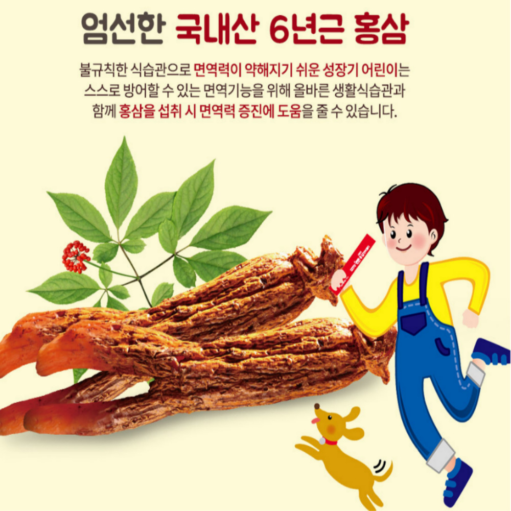 일양약품 어린이 튼튼홍삼 면역젤리 청소년 초등학생 면역력 - 상세 이미지 2