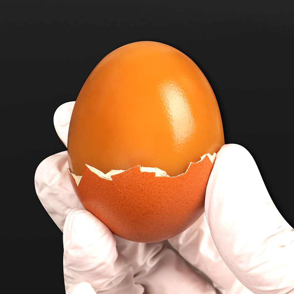 구운계란 구운란 반숙란 반숙계란 30구+30구 파손보상 찬란