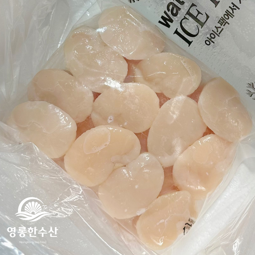 자연산 손질 키조개 생물 통 관자 (개아지살) - 상세 이미지 2