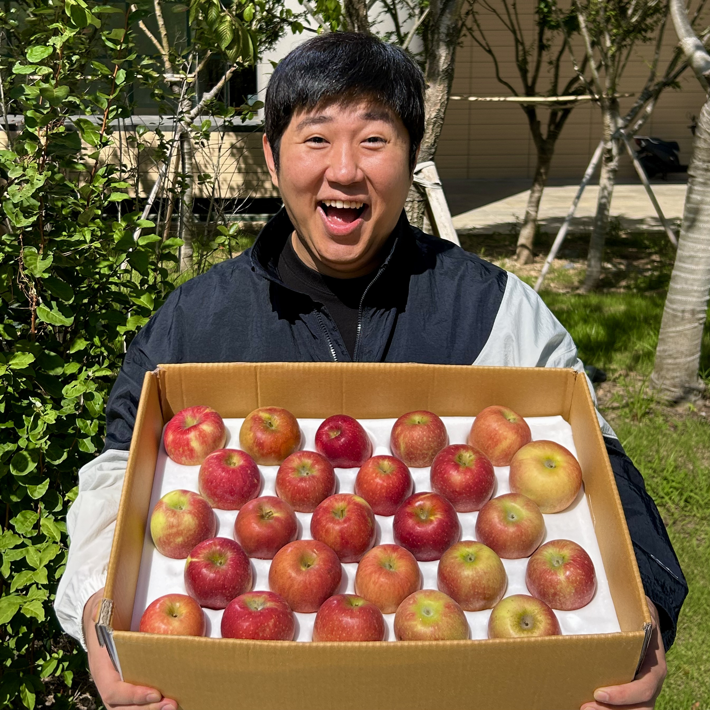 홍로사과 아오리 썸머킹 꿀 사과