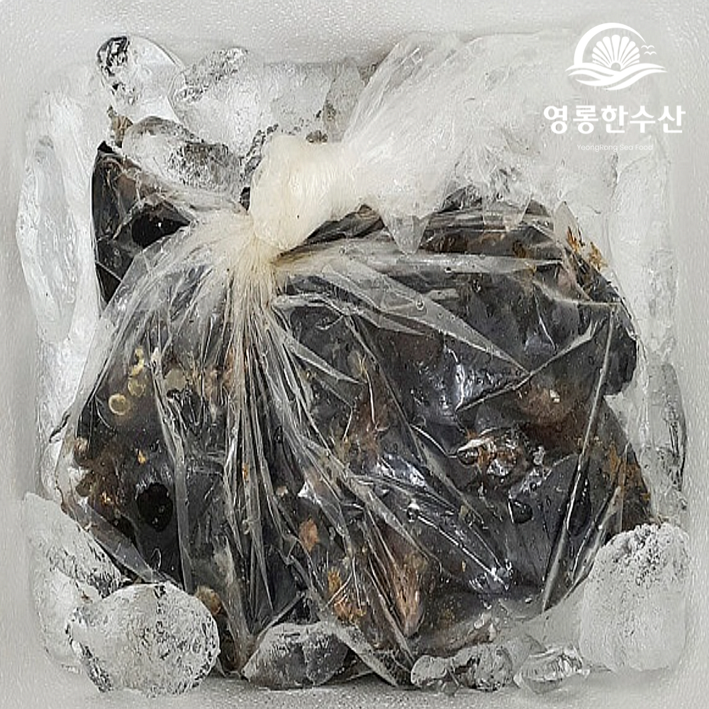 해녀채취 제철 생물 자연산 특대 홍합 1kg (섭/담치) 이미지 8