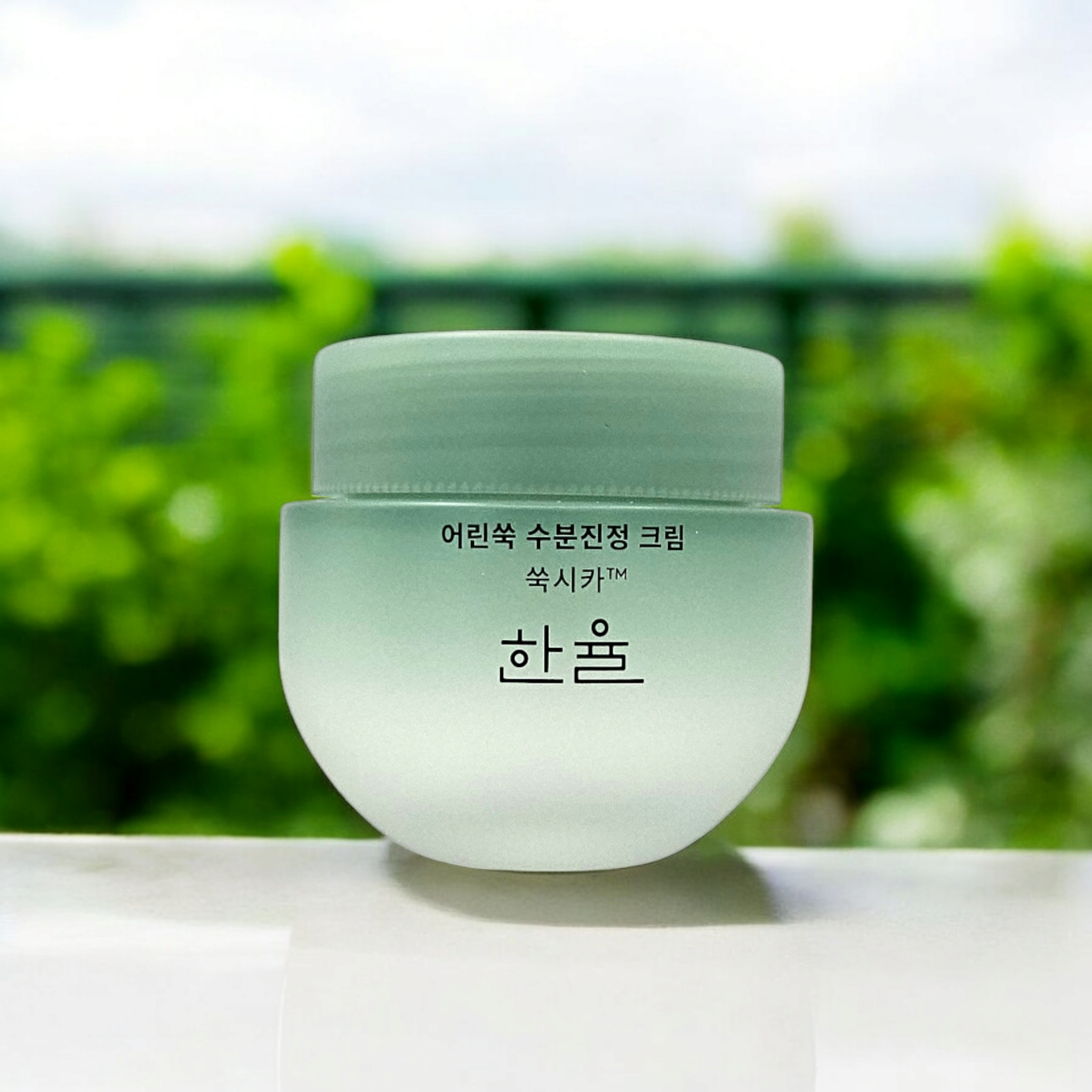 한율 어린쑥 트러블 진정 쑥시카 수분 크림 55ml - 상품 이미지