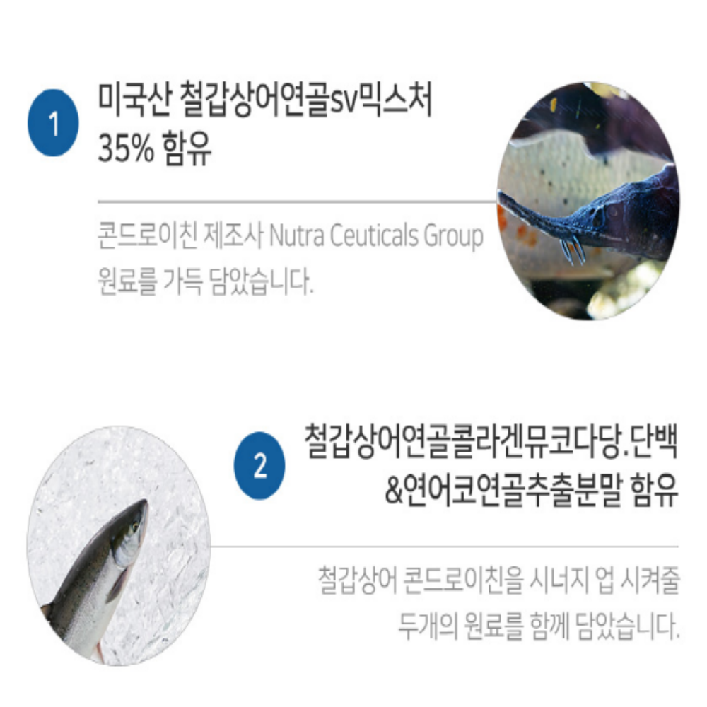철갑상어 콘드로이친 1200 뮤코다당체 MBP 유단백 콘드로이친황산 - 상세 이미지 2