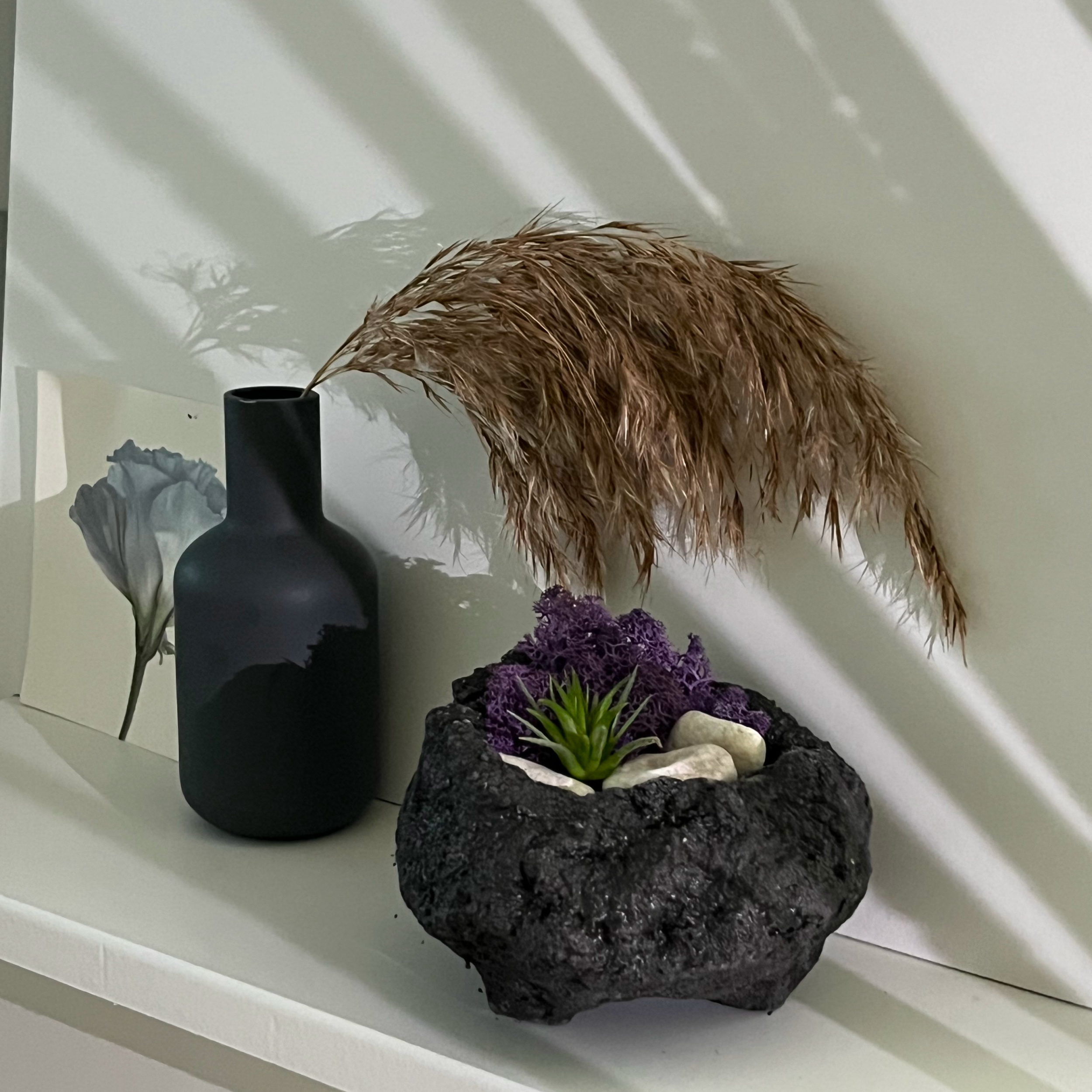 공기정화식물 화산석 화분 이오난사 DIY 키트 인테리어 소품 집들이 선물 - 상세 이미지 4