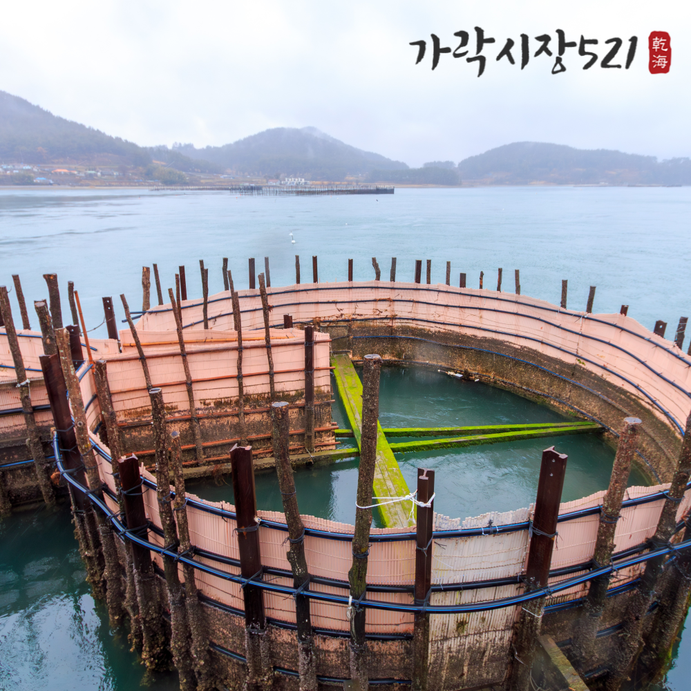 남해 최상급 죽방멸치 300g 국물용 볶음 조림용 선물용 안주용 - 상세 이미지 4