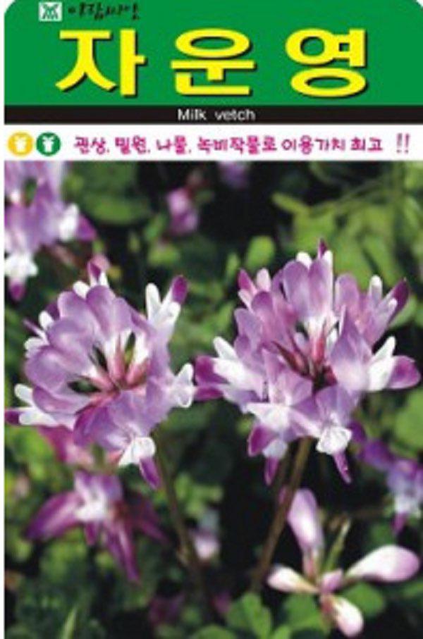 녹비작물 자운영 씨앗(1000립)(A0692) : 티홈