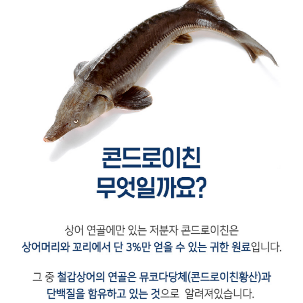 철갑상어 콘드로이친 1200 뮤코다당체 MBP 유단백 콘드로이친황산 - 상세 이미지 4
