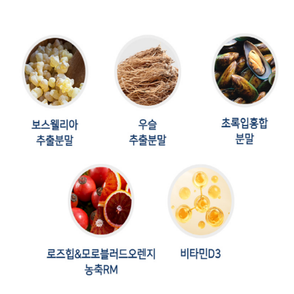 철갑상어 콘드로이친 1200 뮤코다당체 MBP 유단백 콘드로이친황산 이미지 7