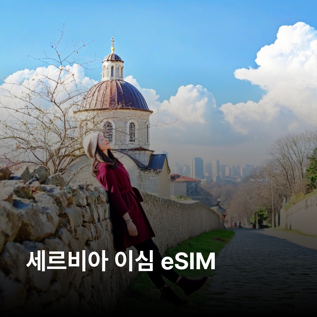 세르비아 로컬망 이심 eSIM Yettel 베오그라드 노비사드 니시 칼레메그단 요새 드리나강 하우스 스투데니차 수도원 자보르 산 이심통 - 상품 이미지