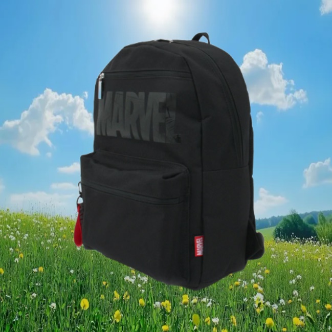 초딩 가방 초등학교 1학년 책가방 가벼운 책가방 초1 책가방