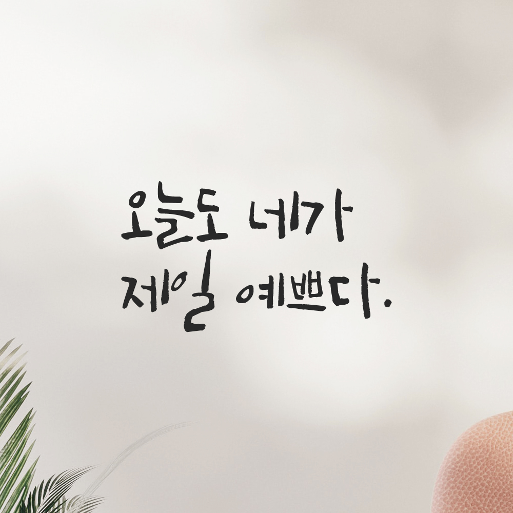 캘리그라피 레터링 스티커 오늘도 네가 제일 예쁘다 검정S 이미지 6