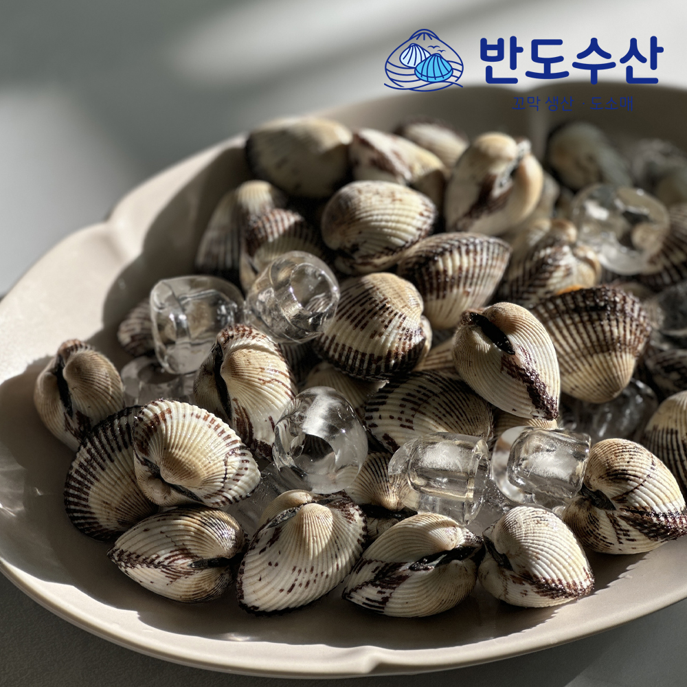 반도수산 대용량 업소용 식당용 벌교 새꼬막 10kg