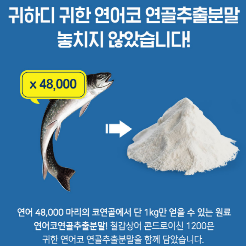 철갑상어 콘드로이친 1200 뮤코다당체 MBP 유단백 콘드로이친황산 이미지 6