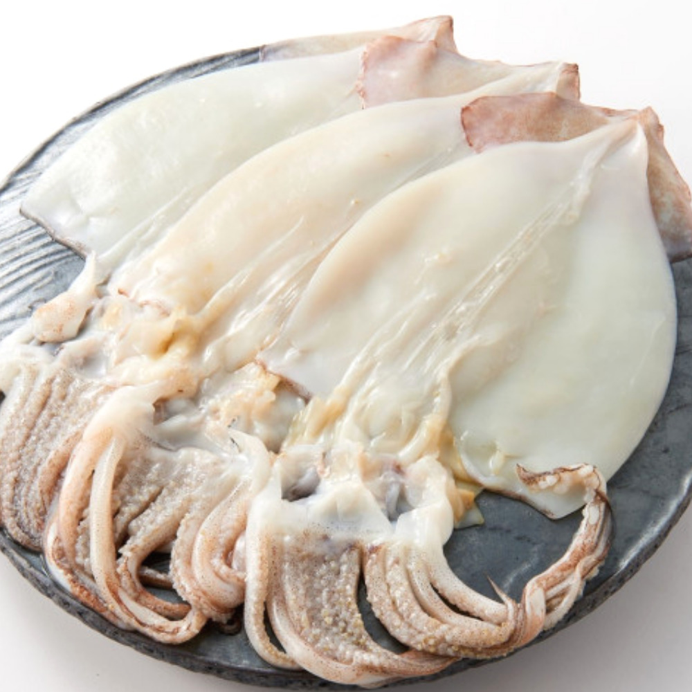 손질오징어 할복 급냉 세척 원양산 생오징어