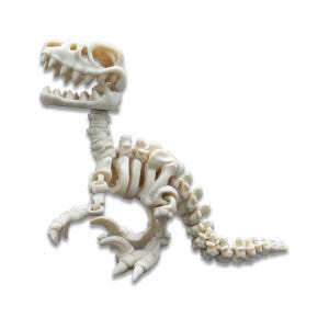바리키요 관절 스켈레톤 공룡 피규어 L사이즈 실사용 후기 | 효과 있을까? - 상품 이미지 2