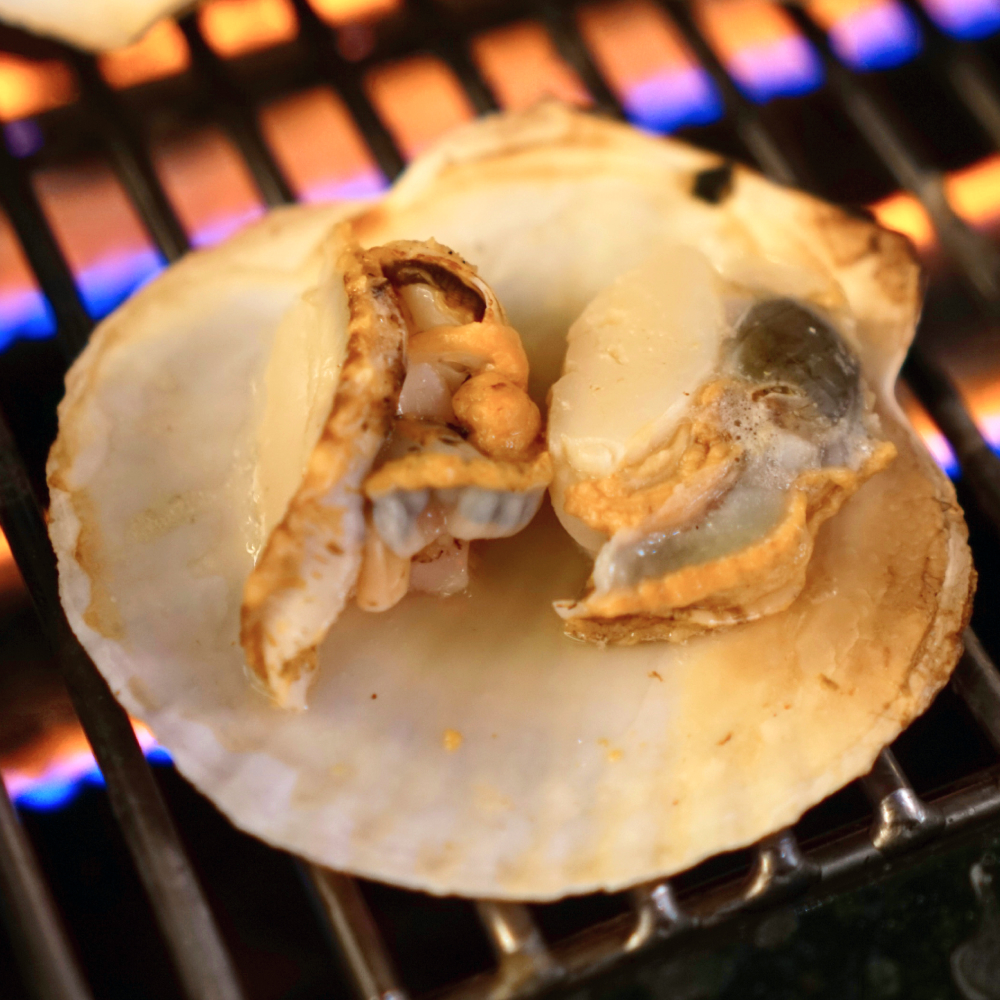 손질 자숙 가리비살 1kg 비단 가리비 순살 - 상세 이미지 2