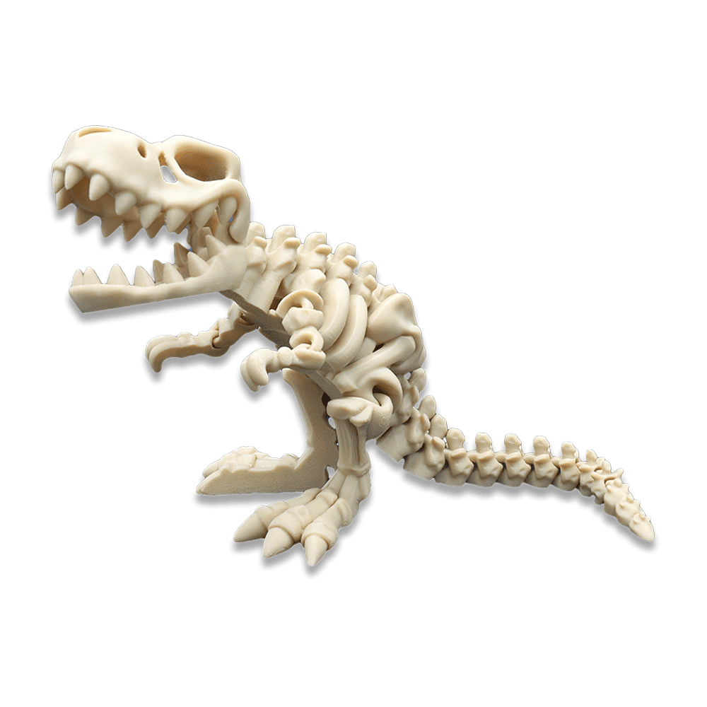 바리키요 관절 스켈레톤 공룡 피규어 제품 이미지