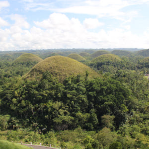 보홀 육상투어 C코스 오후출발 (단독차량, 단독가이드, 초콜릿힐 선셋) 솔직 후기 | 실사용자 리뷰 분석 - 상품 이미지 2