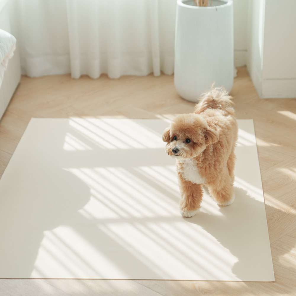 개놀자 슬림 실리콘 강아지 롤매트 애견 고양이 미끄럼방지 매트 아이보리, 140x100cm