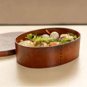 하코야 소풍 직장인 일본 도시락통 실사용 후기 | 효과 있을까? - 상품 이미지 3