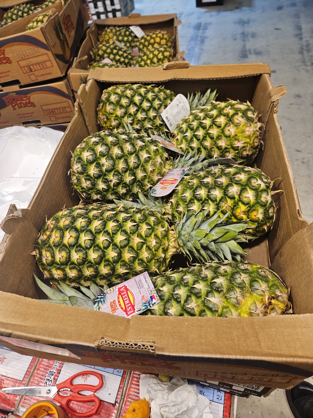큰 골드 파인애플 1.7kg, 4개 - 상세 이미지 3