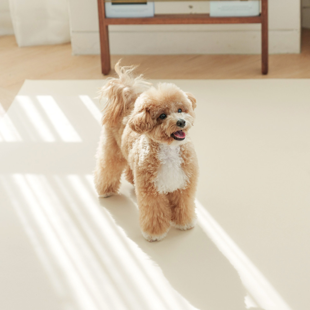 개놀자 슬림 실리콘 강아지 롤매트 애견 고양이 미끄럼방지 매트 아이보리, 140x200cm