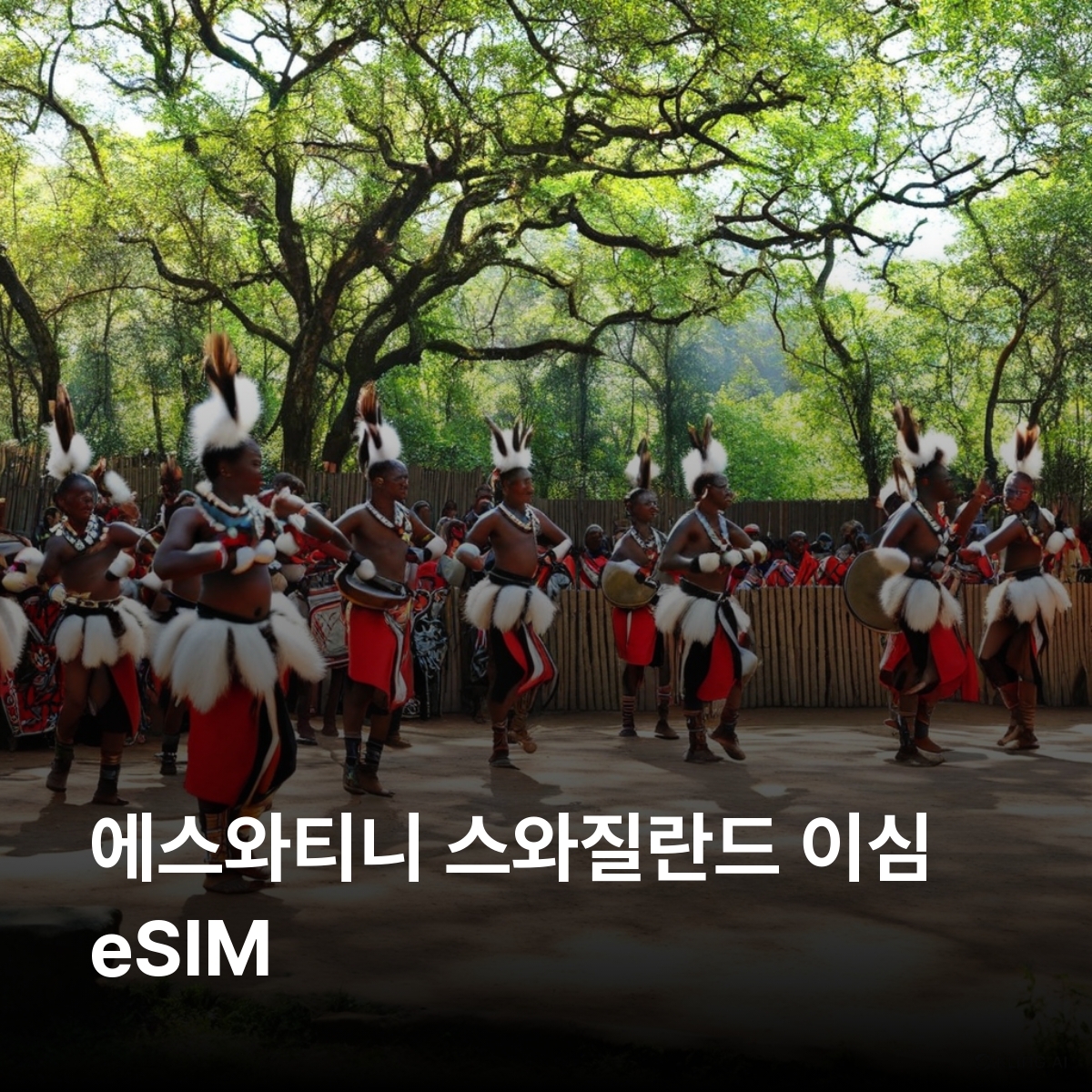 에스와티니 스와질란드 이심 eSIM MTN 음바바네 만지니 로밤바 음릴와네 흐라네 말로로차 시빌라네폭포 은곰야트 왕립 마을 로밤바 문화마을 이심통 - 상품 이미지