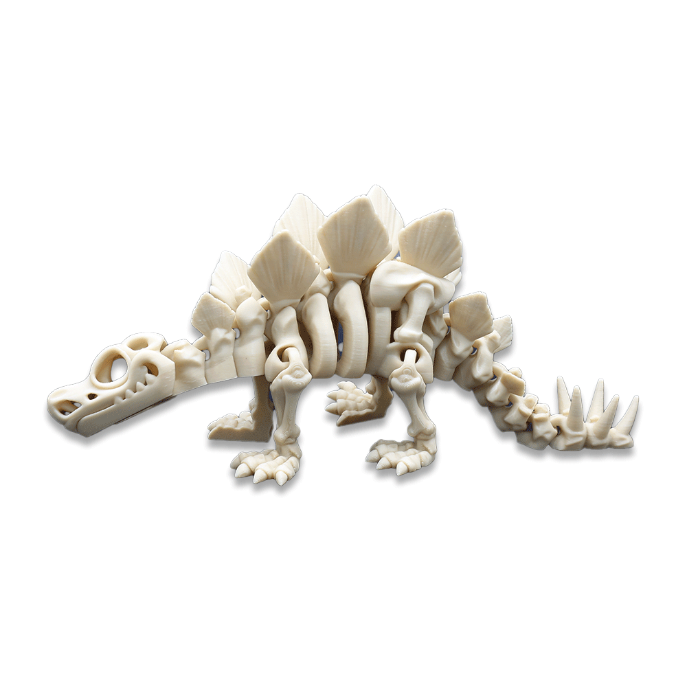 바리키요 관절 스켈레톤 공룡 피규어 L사이즈 이미지 4