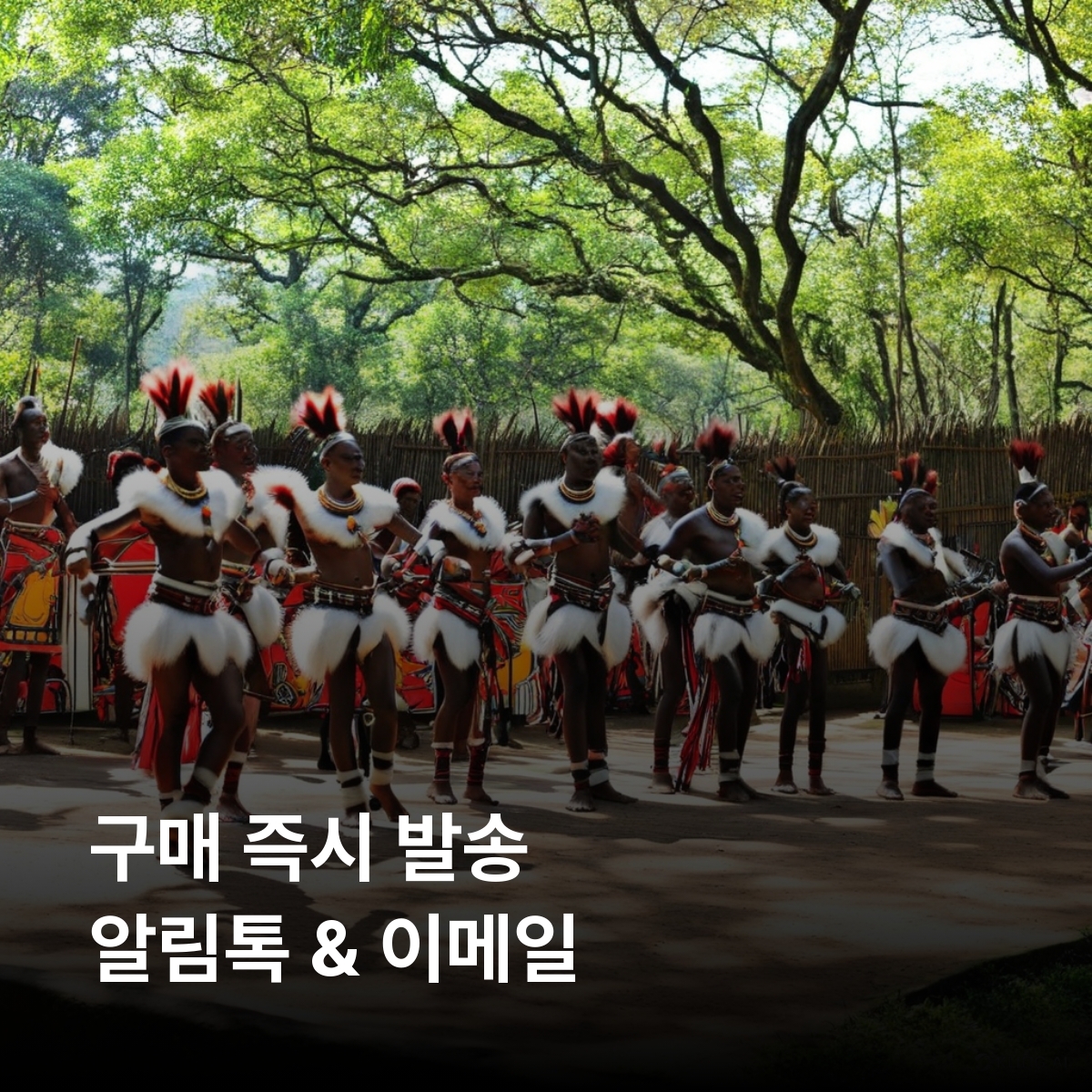 에스와티니 스와질란드 이심 eSIM MTN 음바바네 만지니 로밤바 음릴와네 흐라네 말로로차 시빌라네폭포 은곰야트 왕립 마을 로밤바 문화마을 이심통 - 상세 이미지 3