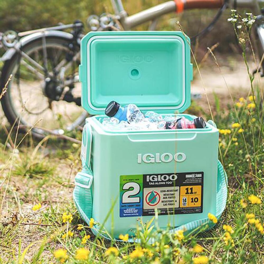 이글루 쿨러 10L 파스텔 소형 미니 아이스박스 캠핑 차박 보냉박스