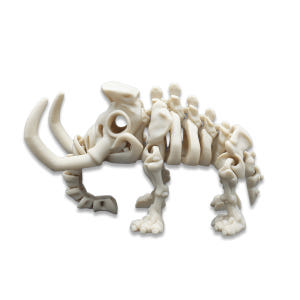 바리키요 관절 스켈레톤 공룡 피규어 L사이즈 실사용 후기 | 효과 있을까? - 상품 이미지 3