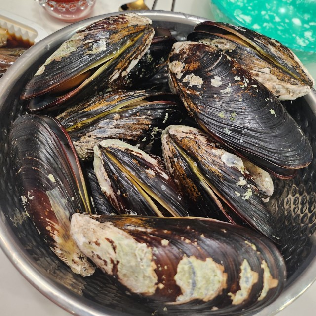 국산 동해 자연산 섭 머구리 직접 채취 담치 대형 큰 홍합1kg 5미내외 이미지 7