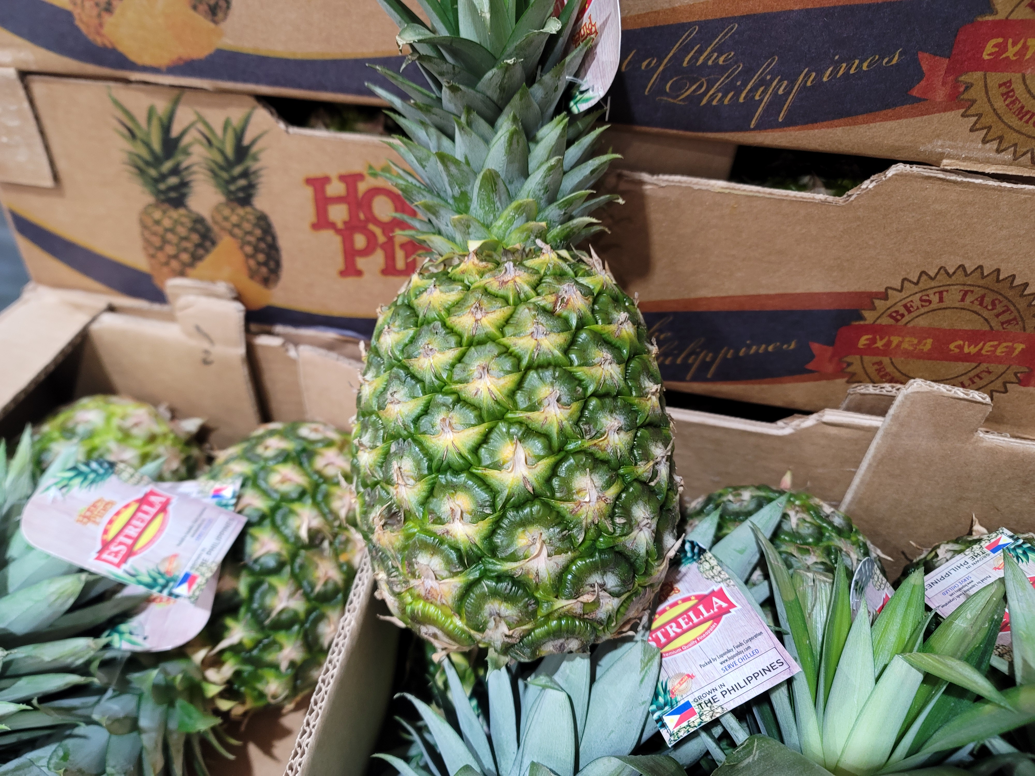 큰 골드 파인애플 1.7kg, 4개 - 상세 이미지 2