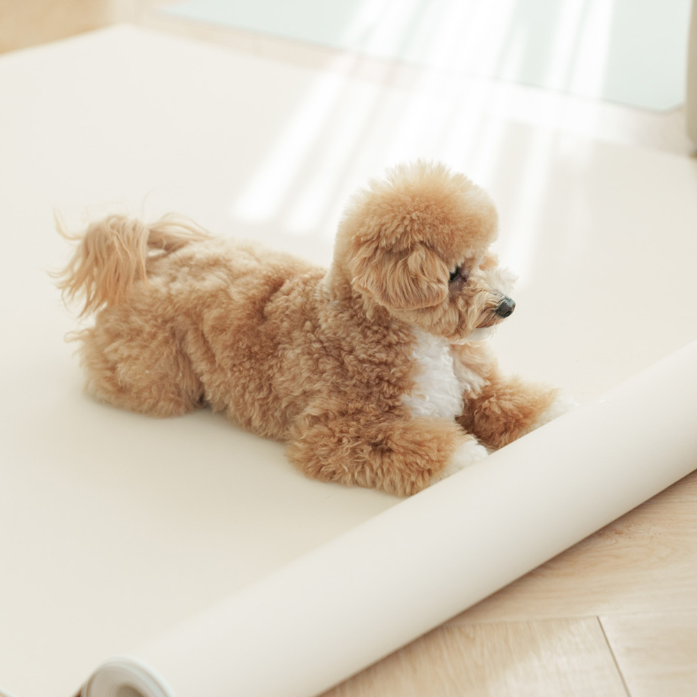 개놀자 슬림 실리콘 강아지 롤매트 애견 고양이 미끄럼방지 매트 아이보리, 140x200cm
