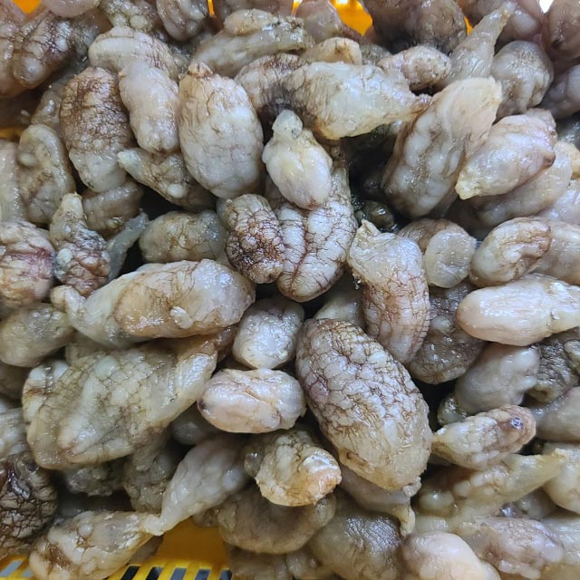 [산지직송] 국내산 통영 제철 오만둥이 1kg - 상품 이미지