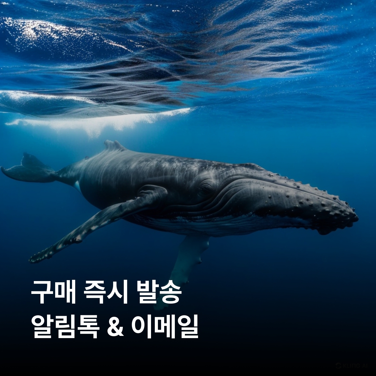 통가 이심 eSIM Digicel 5G 하파이 바바우 통가타푸 마푸아아바카 이심통 - 상세 이미지 3