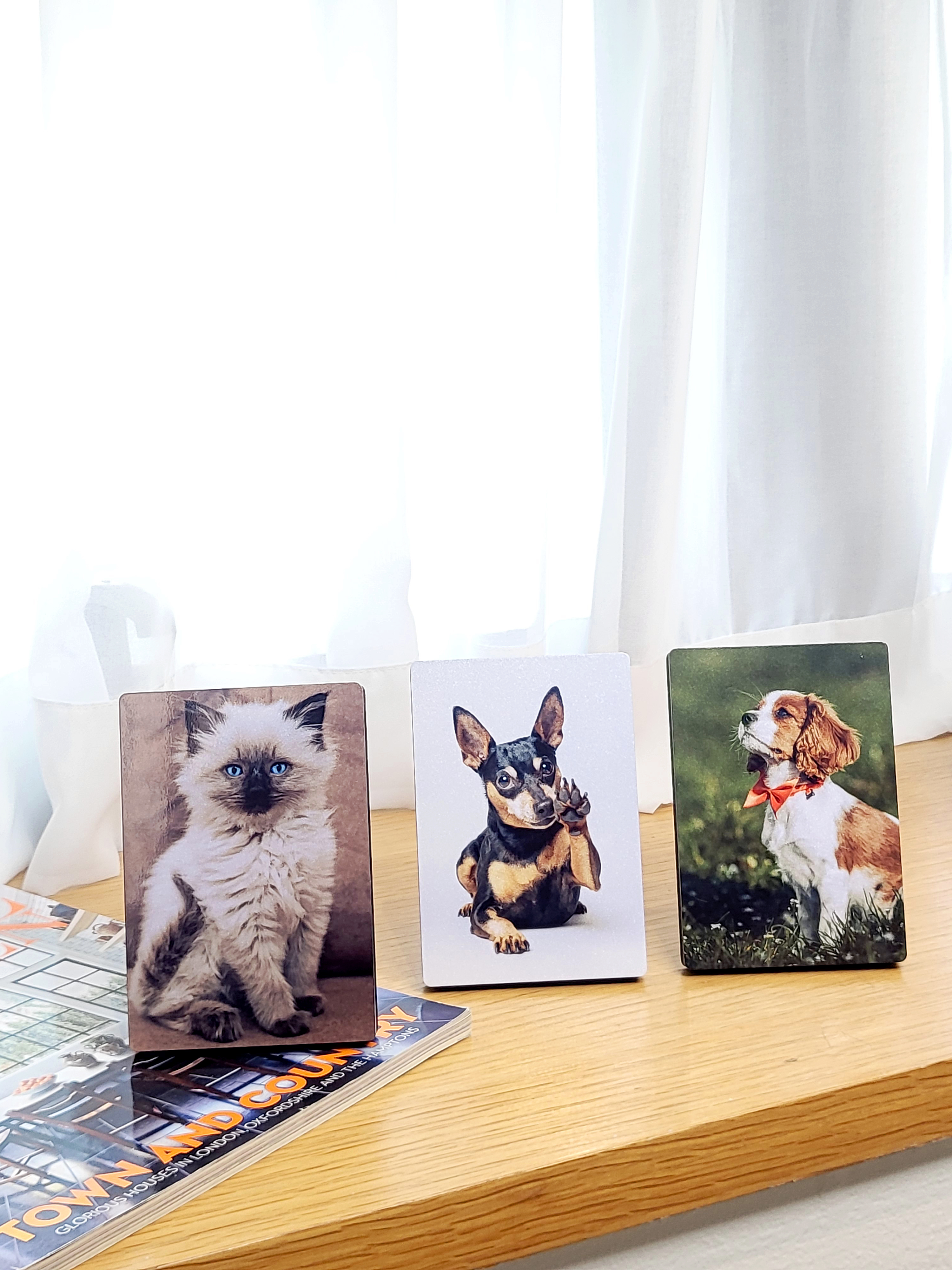 핸드폰 사진 감성 액자 제작 · 프리미엄 사진 인화 미니 출력 · 정사각 9x9 제품 이미지