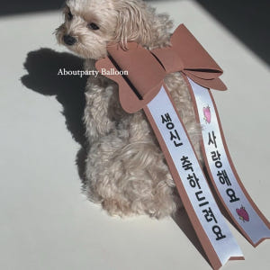 완제품 인간화환 생일 차리본 웨딩카 결혼식 화동 화환 글씨리본 아기화환 ... 실사용 후기 | 효과 있을까? - 상품 이미지 2