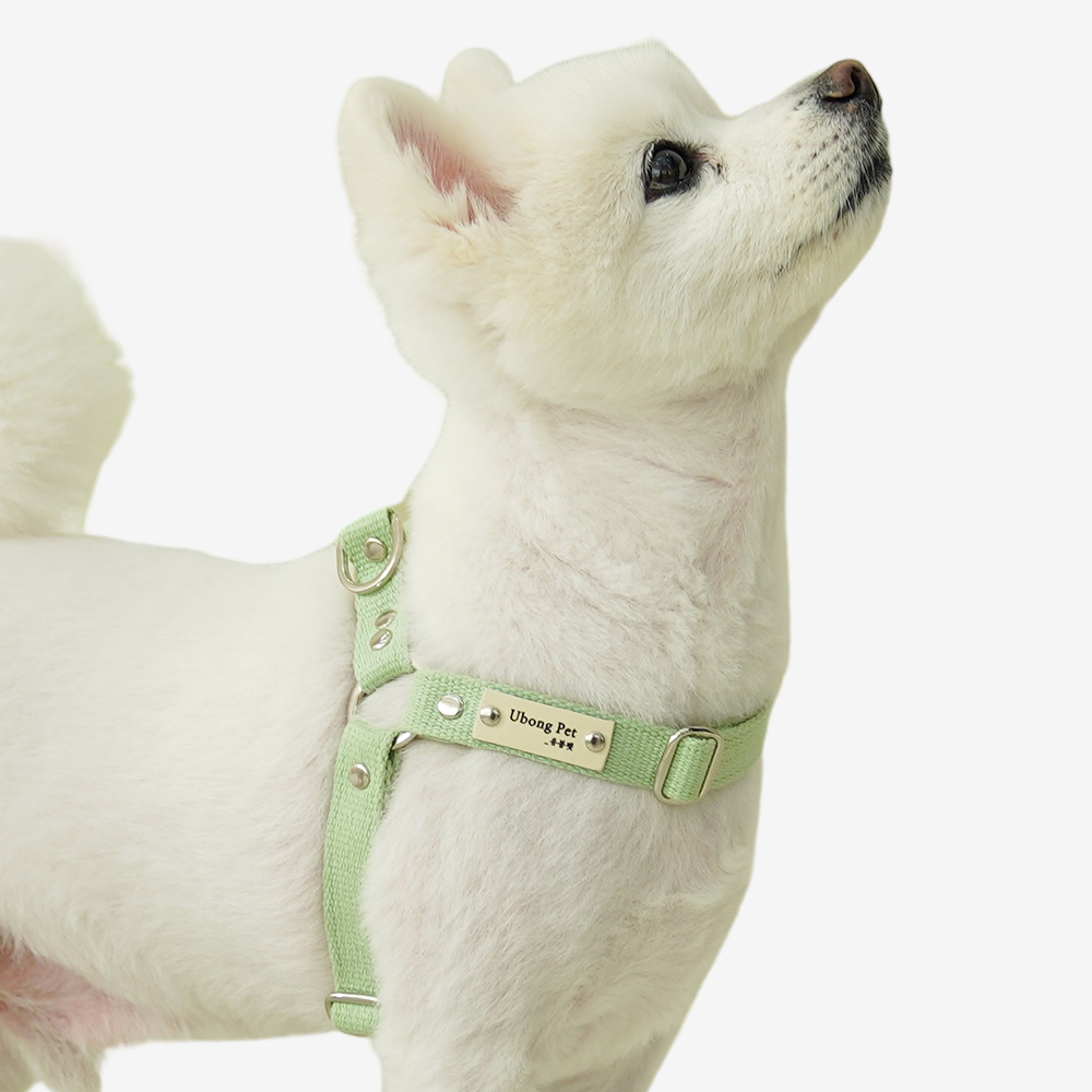 Y형 강아지 하네스 가슴줄 XS
