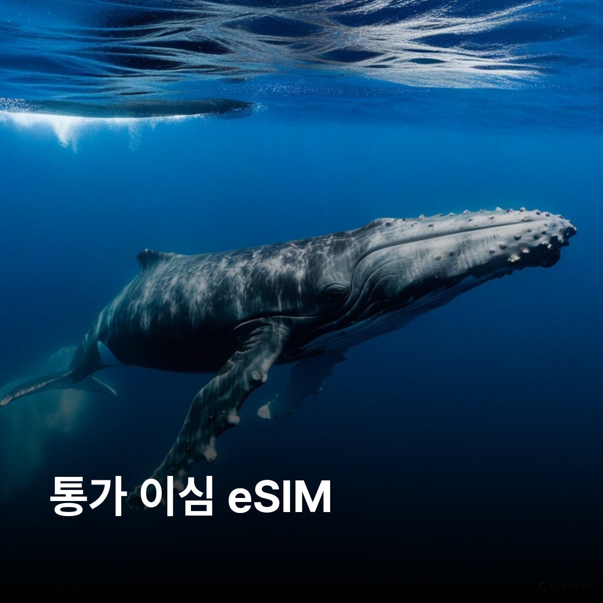 통가 이심 eSIM Digicel 5G 하파이 바바우 통가타푸 마푸아아바카 이심통 - 상품 이미지