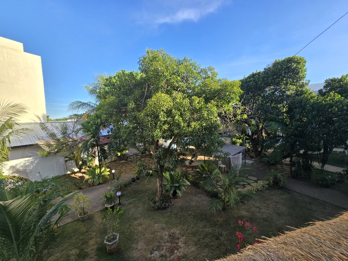 보홀 입국팩 출국팩 번화가 알뜰형 호텔 BS 리조트 공항픽업 드랍