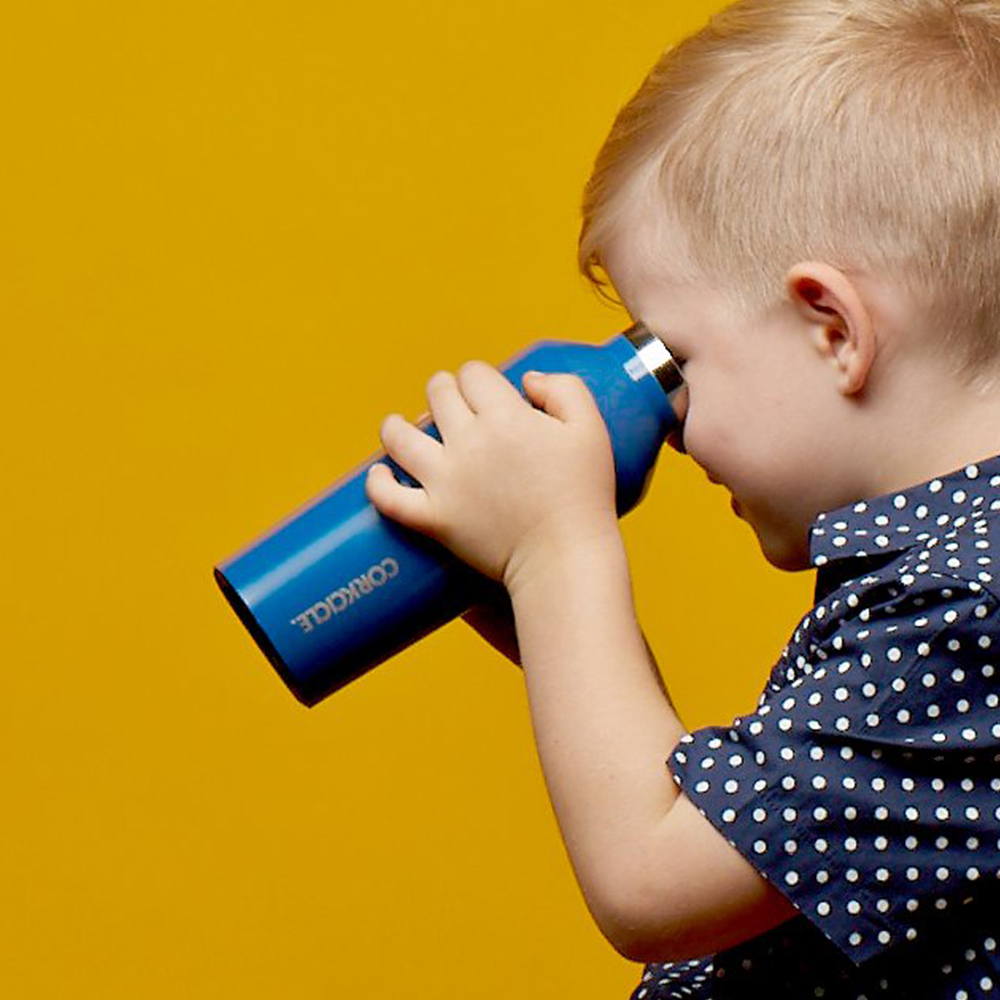 콕시클 스텐 캔틴 밀폐 텀블러 보온병 270ml, 로즈쿼츠